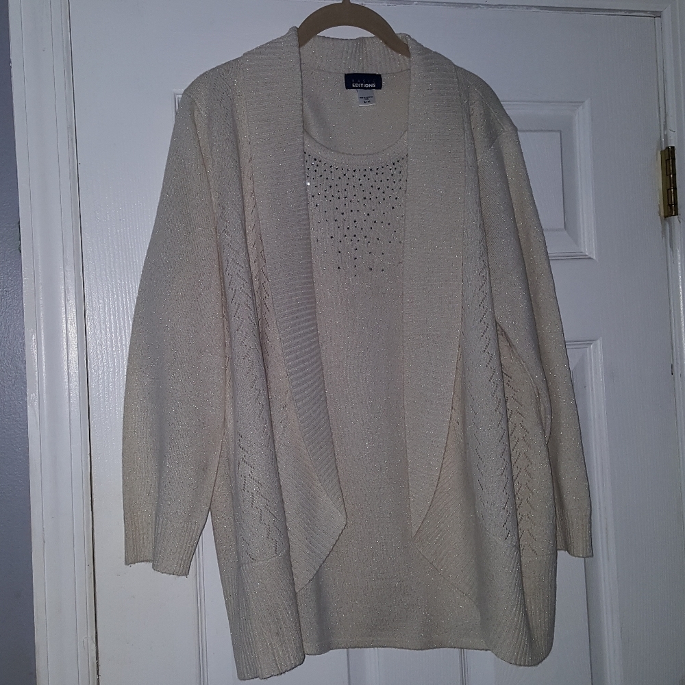 Cream color sweater rhinestones NWOT